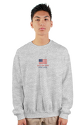 Star-Spangled Crewneck Sweatshirt